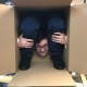 Person in a Box Illusion by Richard Wiseman Rights to Produce and use your own version